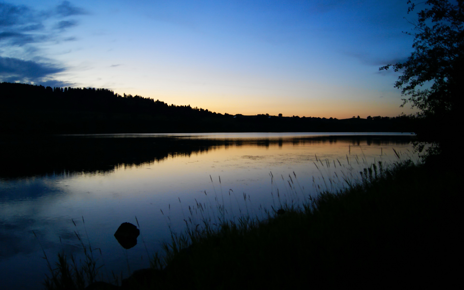 明星助攻：联盟中最具天赋的传球大师，现役传球大师