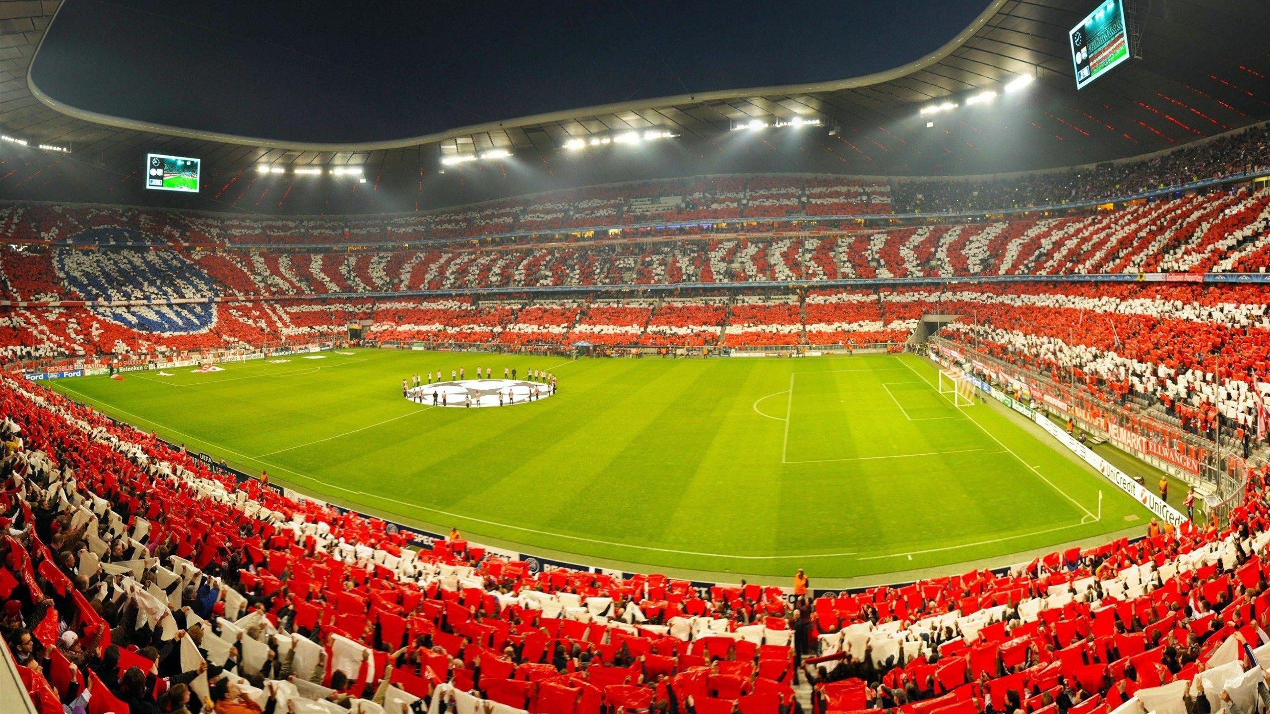 保利娜·普费夫跳台决赛精彩瞬间回顾