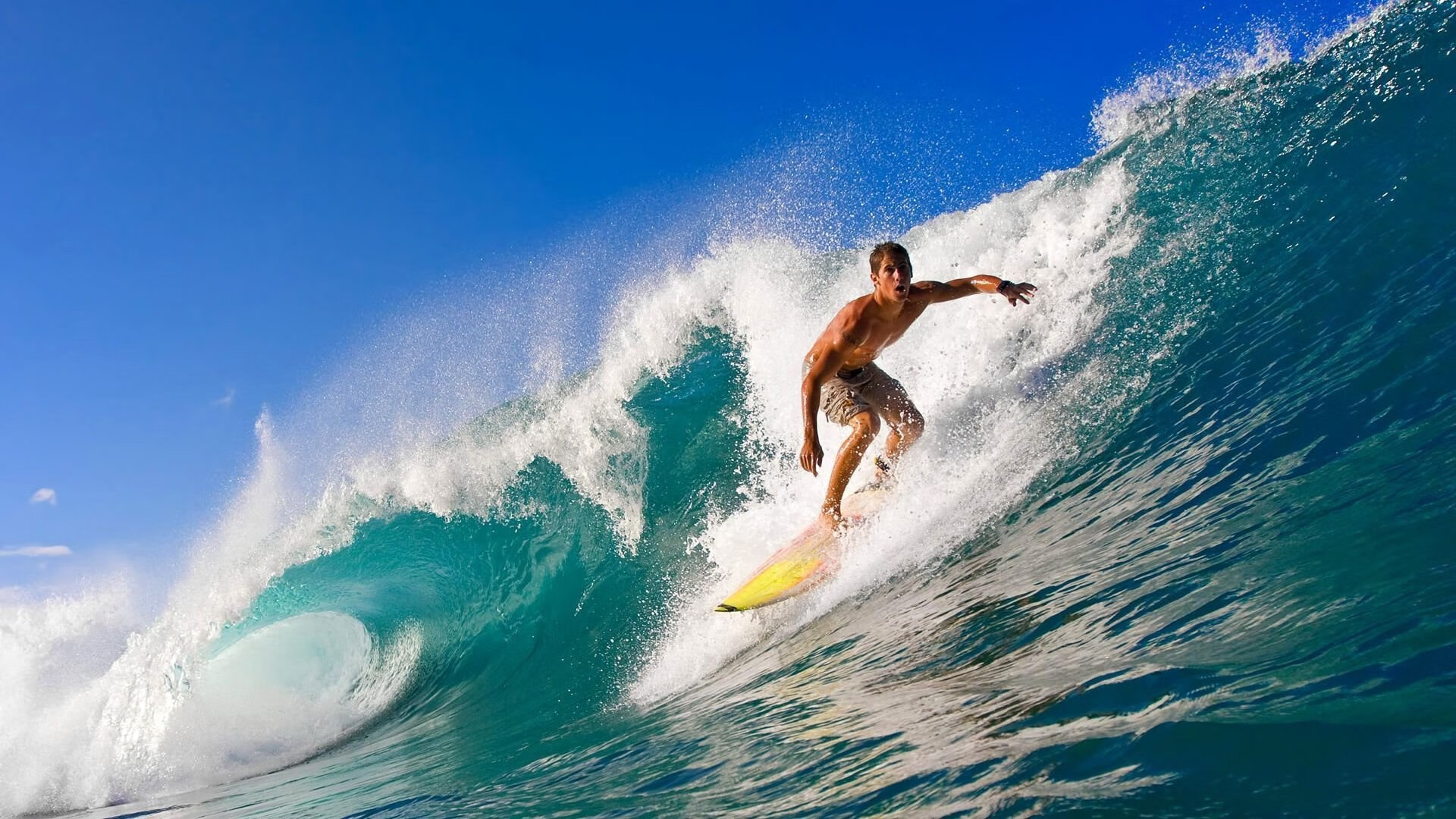 美洲杯明星巡演：技能绝活震撼全场！，美洲杯谁出线了