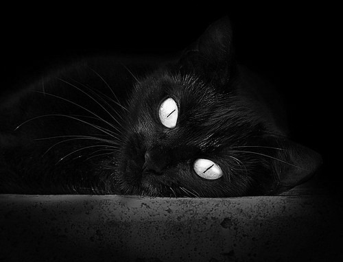 《Dota 2超级邀请赛,高手云集激战正酣》,dota2出现超级兵容易吗