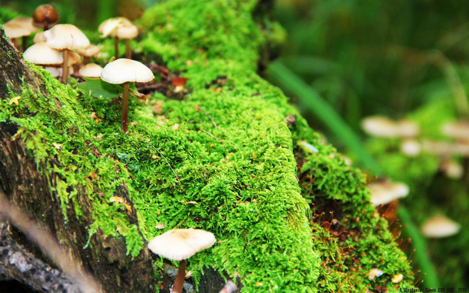 《Dota 2超级邀请赛,高手云集激战正酣》,dota2出现超级兵容易吗