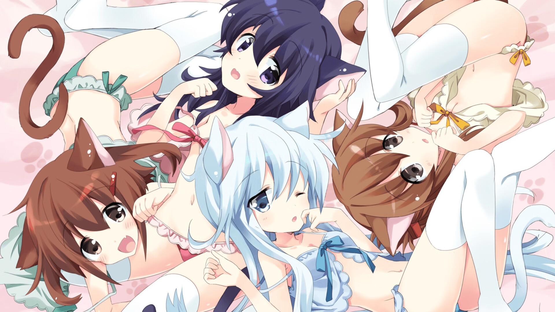 健美锦标赛：力量与美的完美结合，健美竞赛