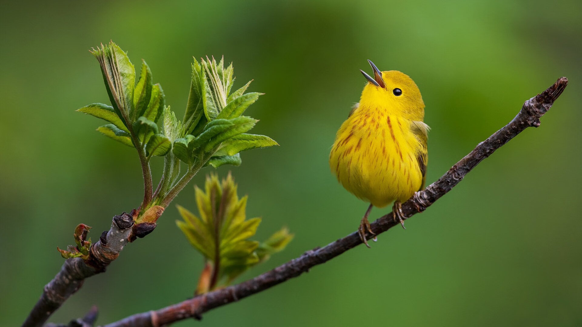 开云体育官网下载安装-哥伦比亚队门将费尔南德斯在巴黎奥运会上展现出高水平的扑救能力