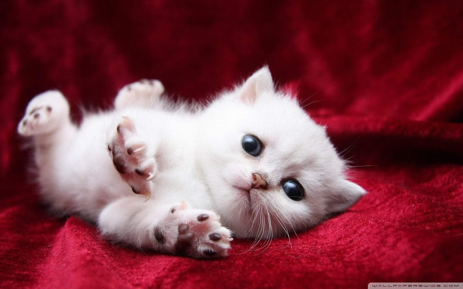 姆巴佩转会皇马，开启新篇章，姆巴佩转会皇马原因